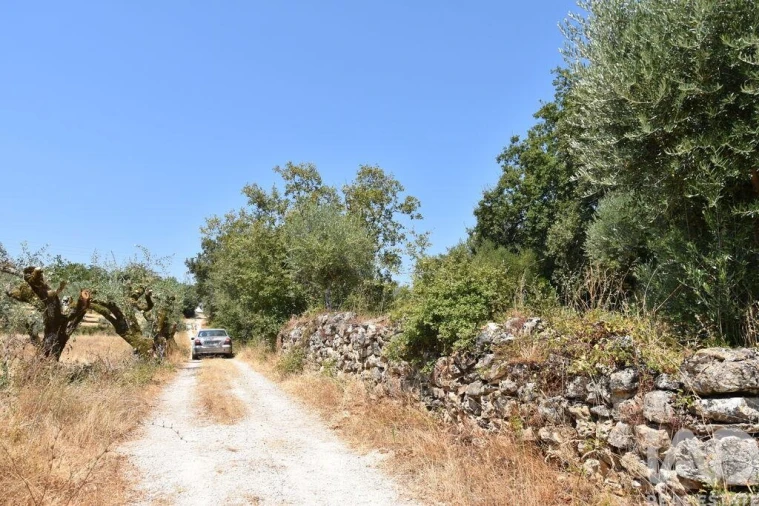 Terreno para Venda em Chãos Foto 29