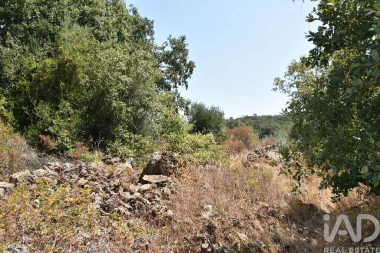 Terreno para Venda em Chãos Foto 24