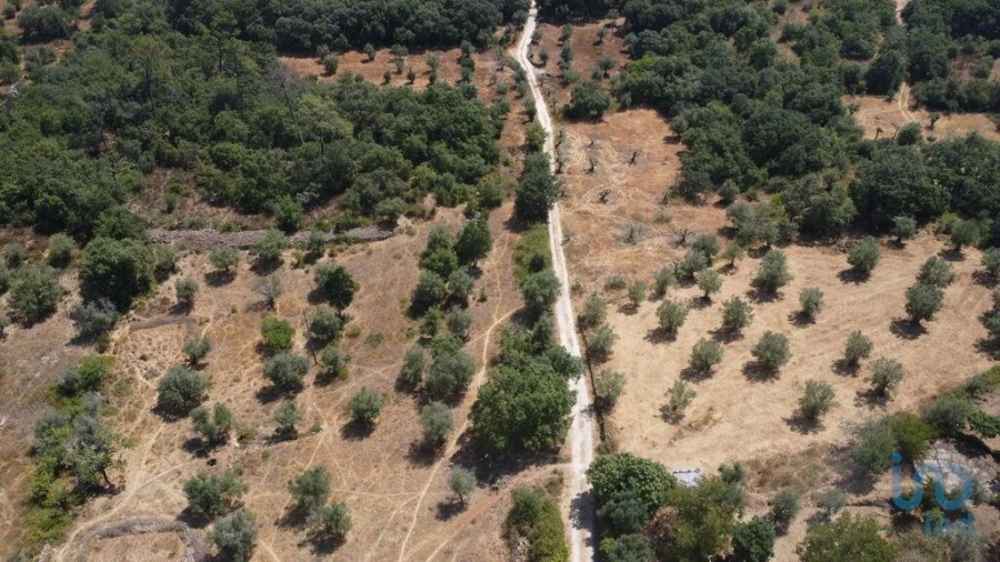 Terreno para Venda em Chãos Foto 5