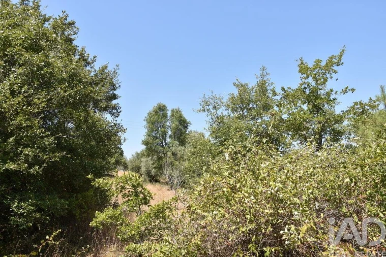 Terreno para Venda em Chãos Foto 23