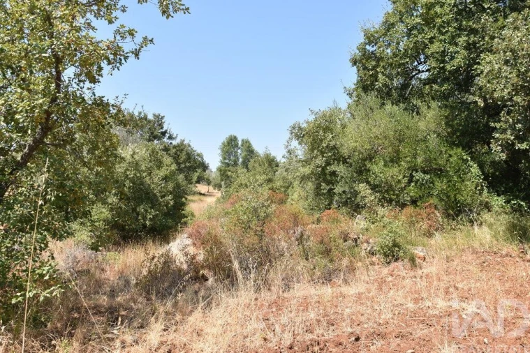 Terreno para Venda em Chãos Foto 27