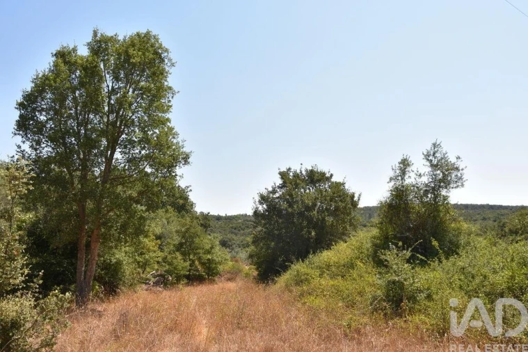 Terreno para Venda em Chãos Foto 19