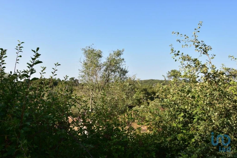 Terreno para Venda em Chãos Foto 7