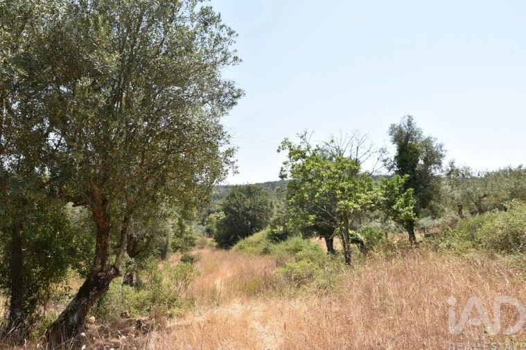 Terreno para Venda em Chãos Foto 17