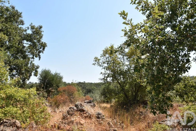 Terreno para Venda em Chãos Foto 25