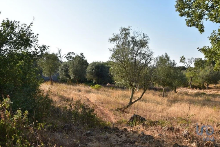 Terreno para Venda em Chãos Foto 8