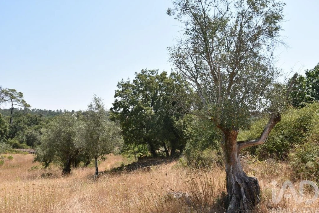 Terreno para Venda em Chãos Foto 16
