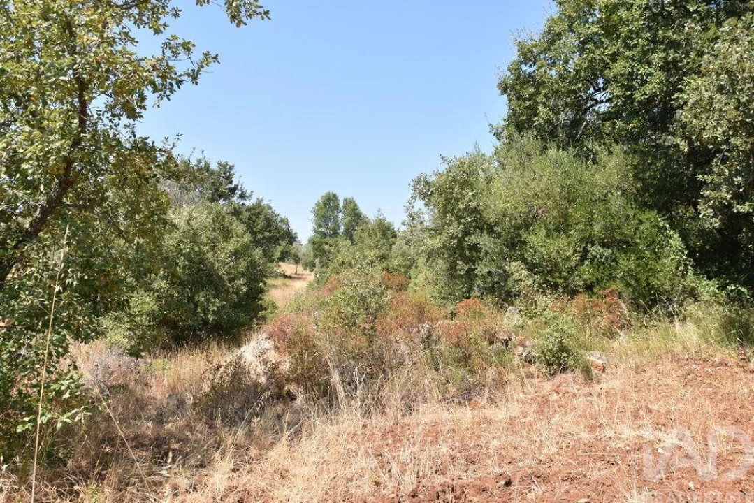 Terreno para Venda em Chãos Foto 27