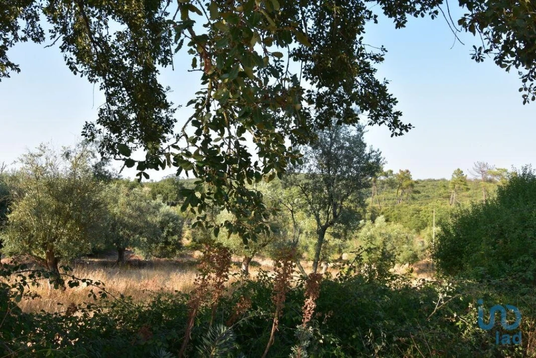 Terreno para Venda em Chãos Foto 2