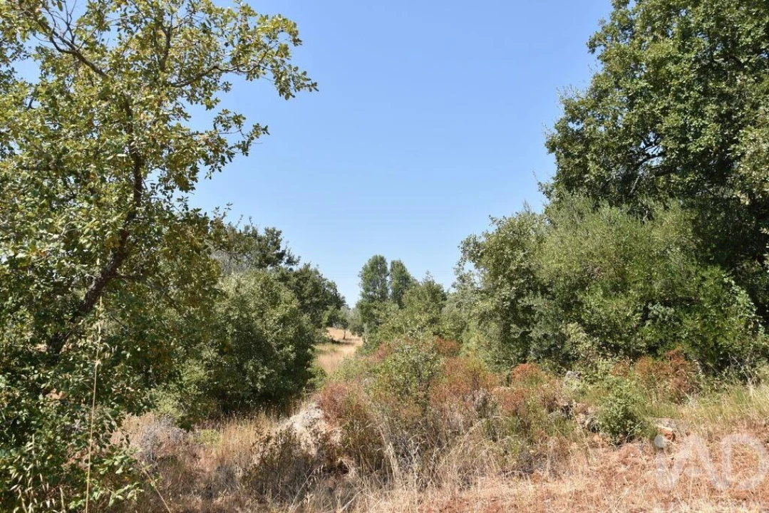 Terreno para Venda em Chãos Foto 28