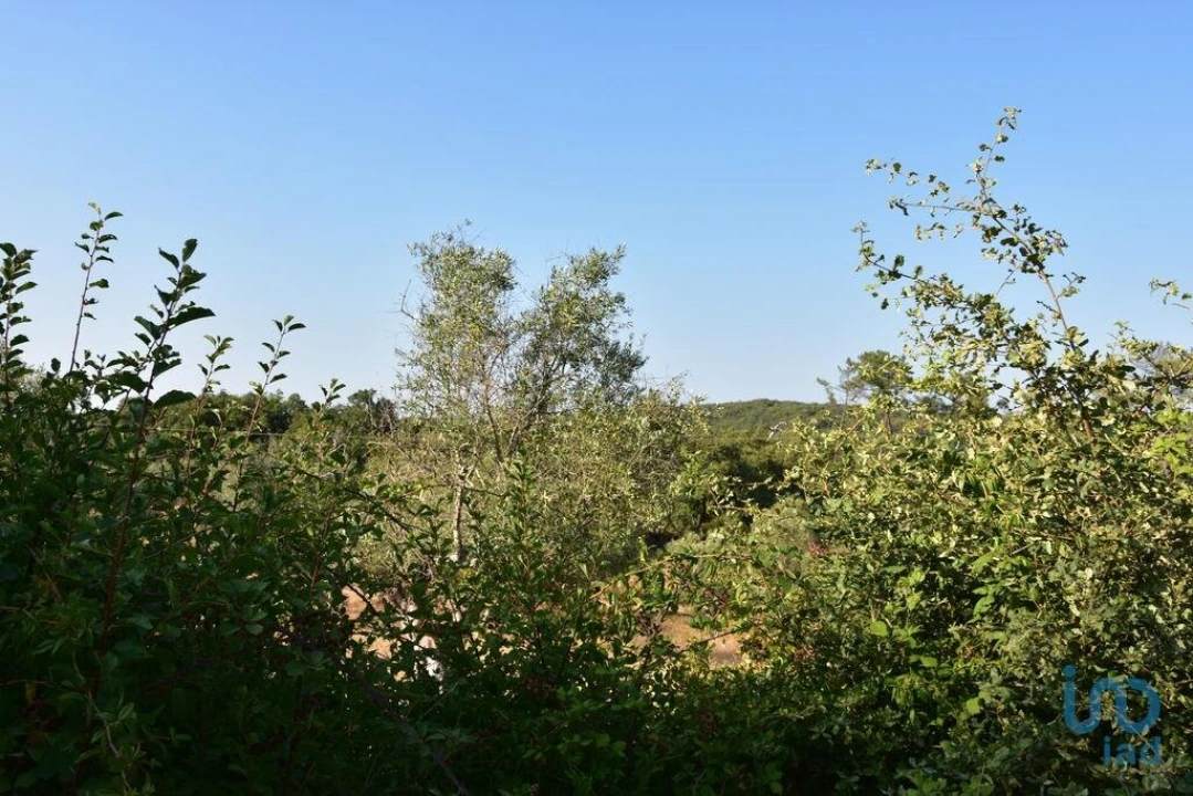 Terreno para Venda em Chãos Foto 7