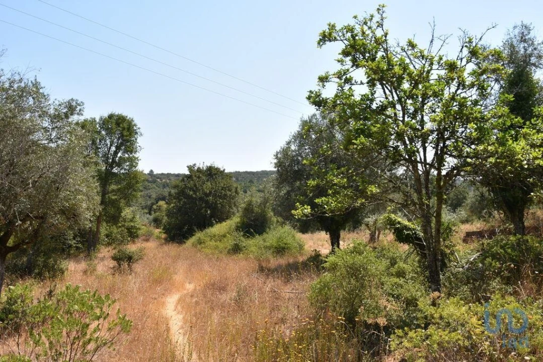 Terreno para Venda em Chãos Foto 3