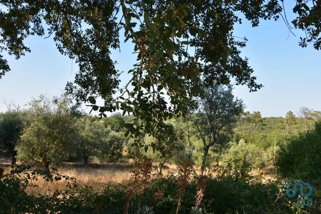 Terreno para Venda em Chãos Foto 6