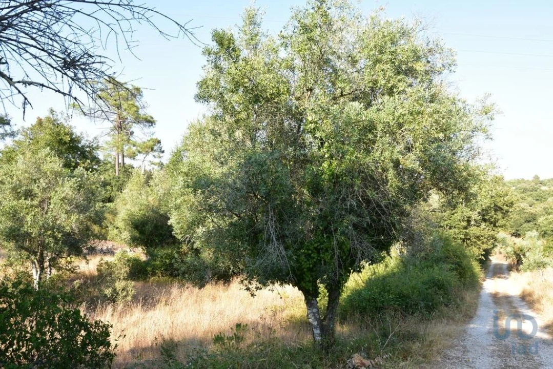Terreno para Venda em Chãos Foto 9