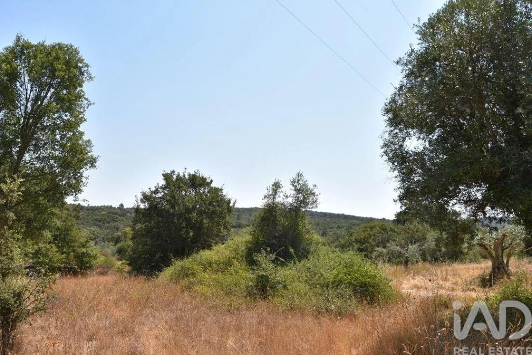 Terreno para Venda em Chãos Foto 18