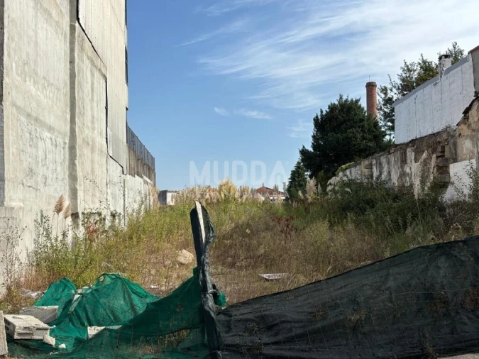 Terreno para Venda em Oliveira do Douro Foto 2