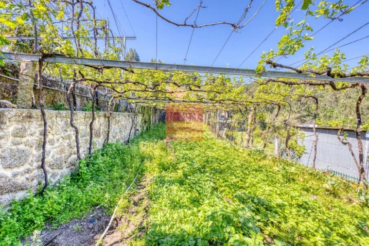 Quinta T3 para Venda em Palmeira de Faro e Curvos Foto 11