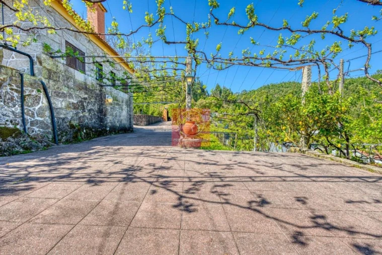 Quinta T3 para Venda em Palmeira de Faro e Curvos Foto 13