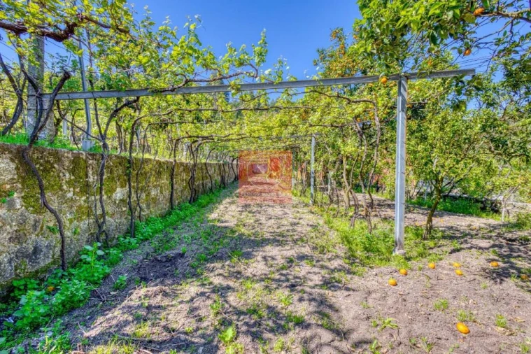 Quinta T3 para Venda em Palmeira de Faro e Curvos Foto 17