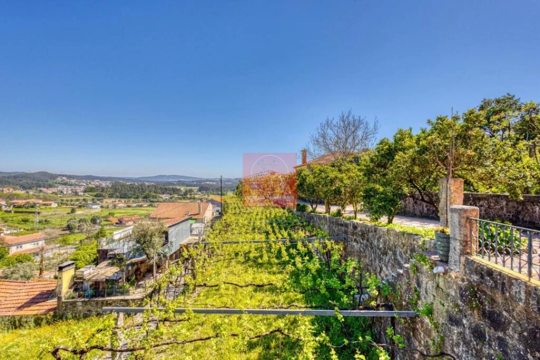 Quinta T3 para Venda em Palmeira de Faro e Curvos Foto 14