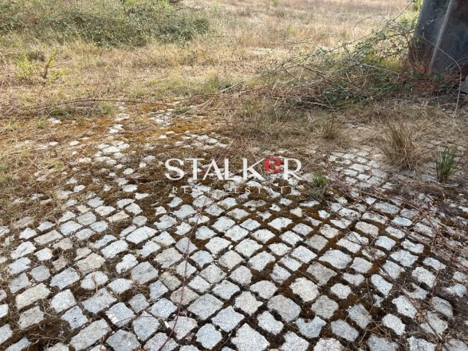 Armazém para Venda em São Miguel do Souto e Mosteirô Foto 8