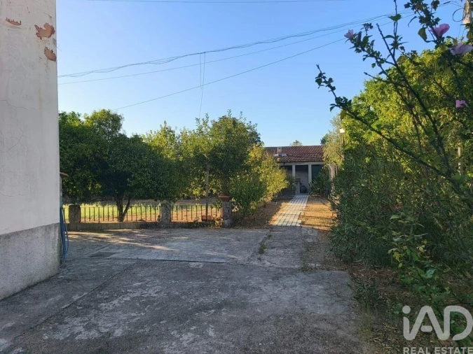 Moradia T5 para Venda em Canas de Senhorim Foto 25