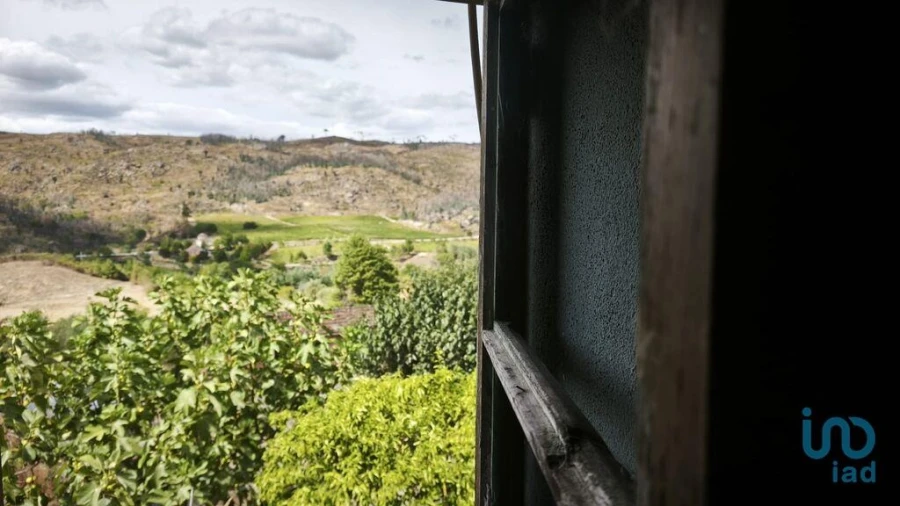 Moradia para Venda em Seixo da Beira Foto 5