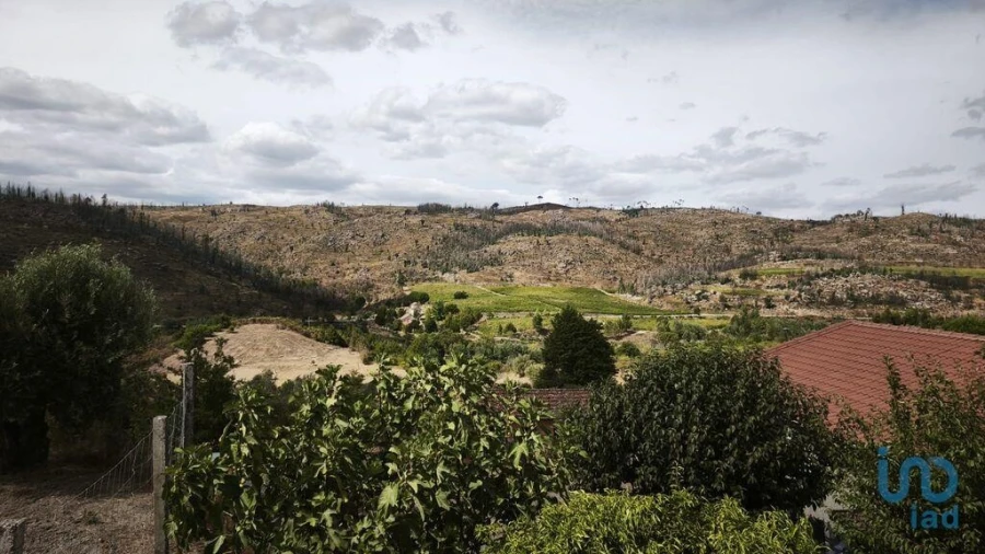 Moradia para Venda em Seixo da Beira Foto 2