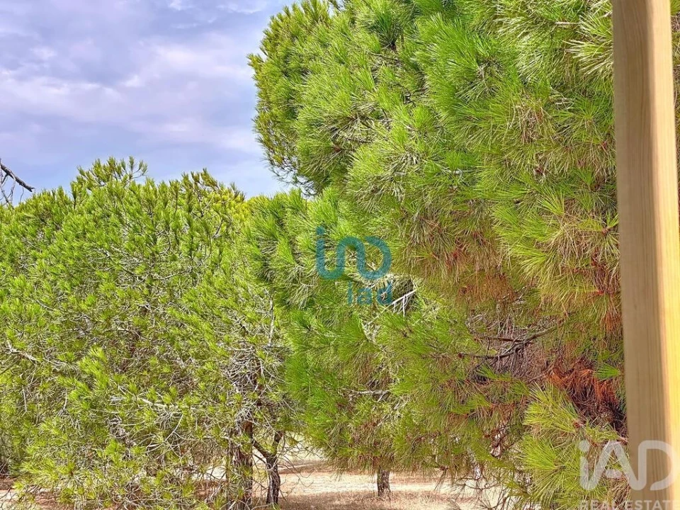 Loja para Venda em Tavira (Santa Maria e Santiago) Foto 21