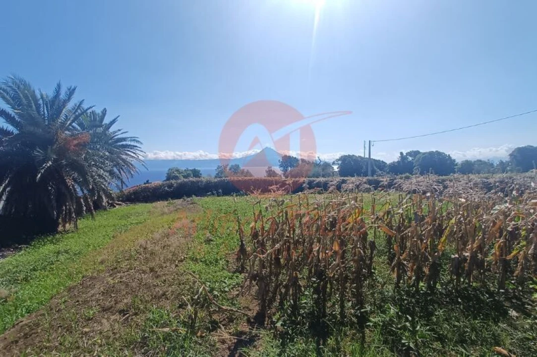 Moradia T2 para Venda em Rosais Foto 8