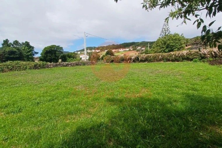 Moradia T2 para Venda em Rosais Foto 12