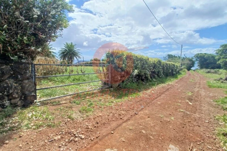 Moradia T2 para Venda em Rosais Foto 13