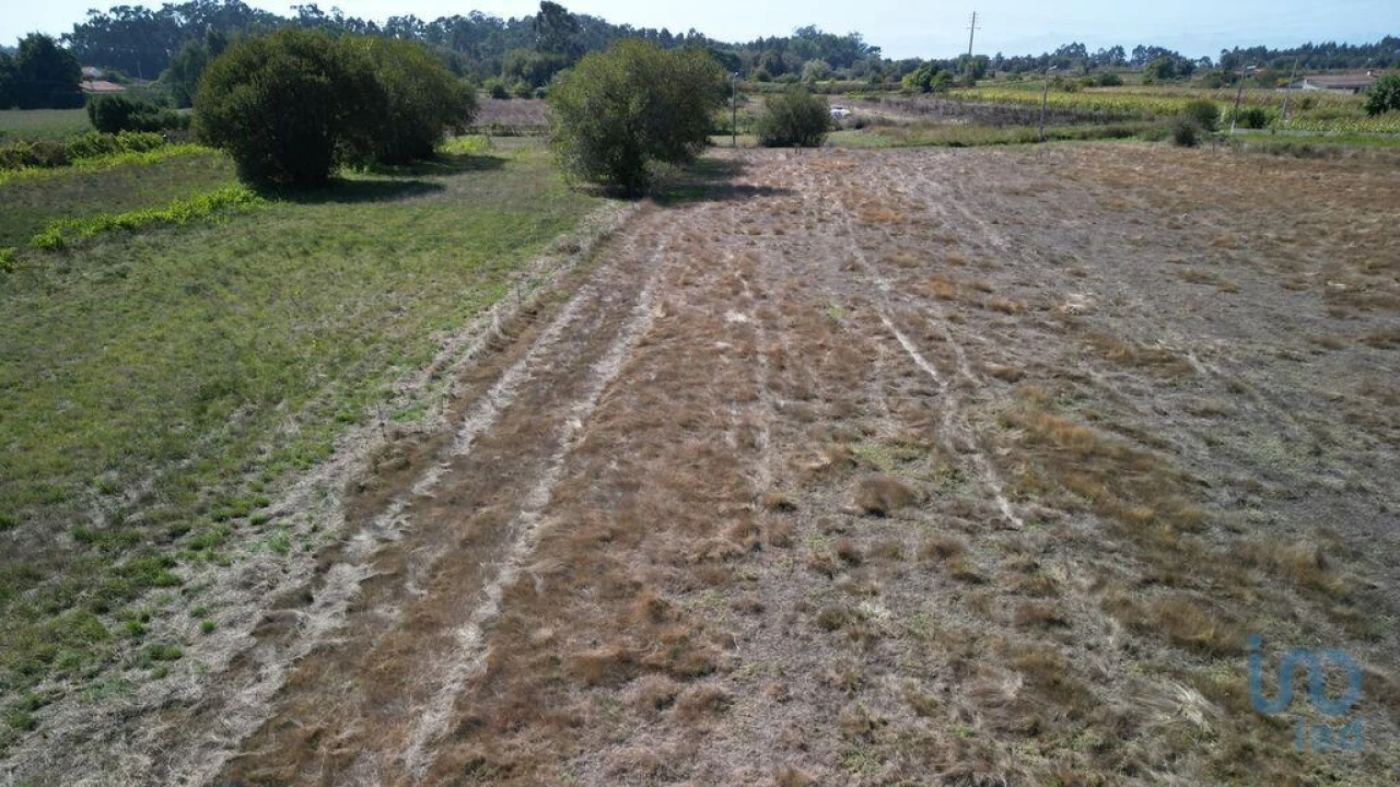 Terreno para Venda em Cacia Foto 7