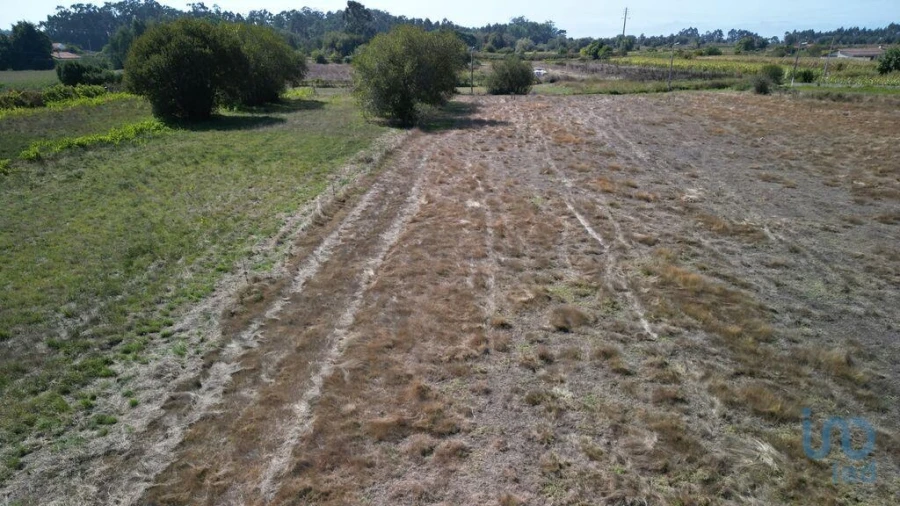 Terreno para Venda em Cacia Foto 7