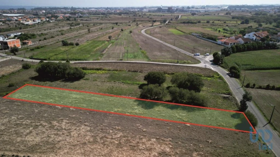 Terreno para Venda em Cacia