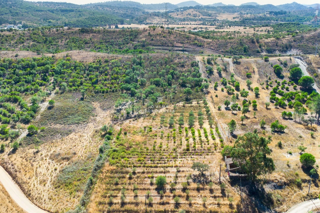 Terreno para Venda em São Bartolomeu de Messines Foto 18