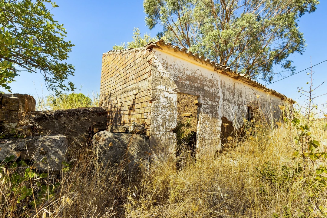 Terreno para Venda em São Bartolomeu de Messines Foto 10