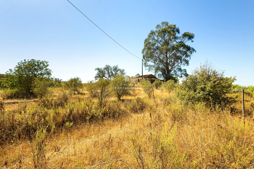 Terreno para Venda em São Bartolomeu de Messines Foto 3