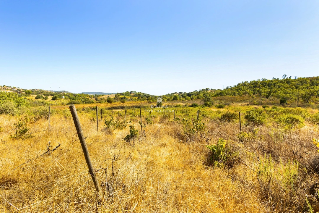 Terreno para Venda em São Bartolomeu de Messines Foto 12