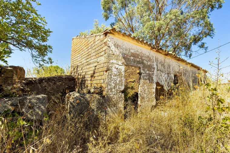 Terreno para Venda em São Bartolomeu de Messines Foto 10