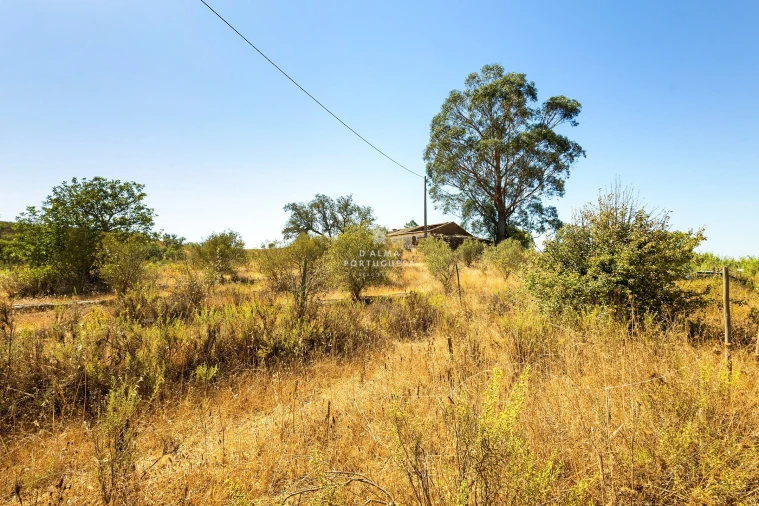 Terreno para Venda em São Bartolomeu de Messines Foto 2