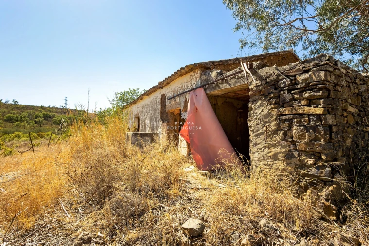 Terreno para Venda em São Bartolomeu de Messines Foto 8