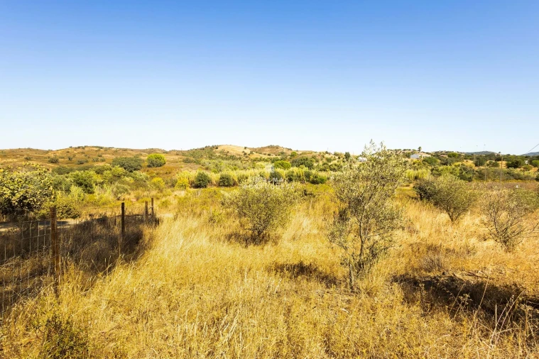 Terreno para Venda em São Bartolomeu de Messines Foto 13