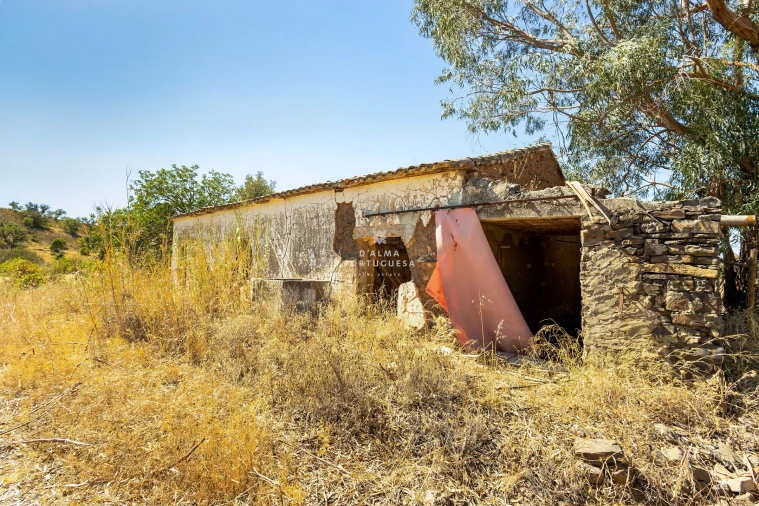Terreno para Venda em São Bartolomeu de Messines Foto 5