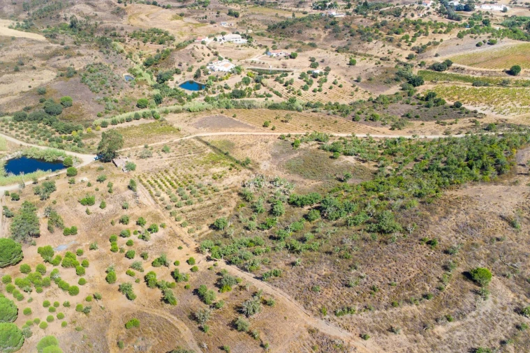 Terreno para Venda em São Bartolomeu de Messines Foto 20