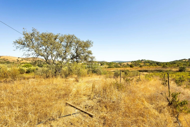 Terreno para Venda em São Bartolomeu de Messines Foto 15
