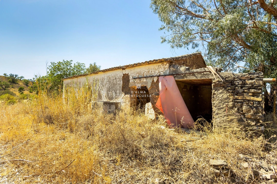 Terreno para Venda em São Bartolomeu de Messines Foto 5