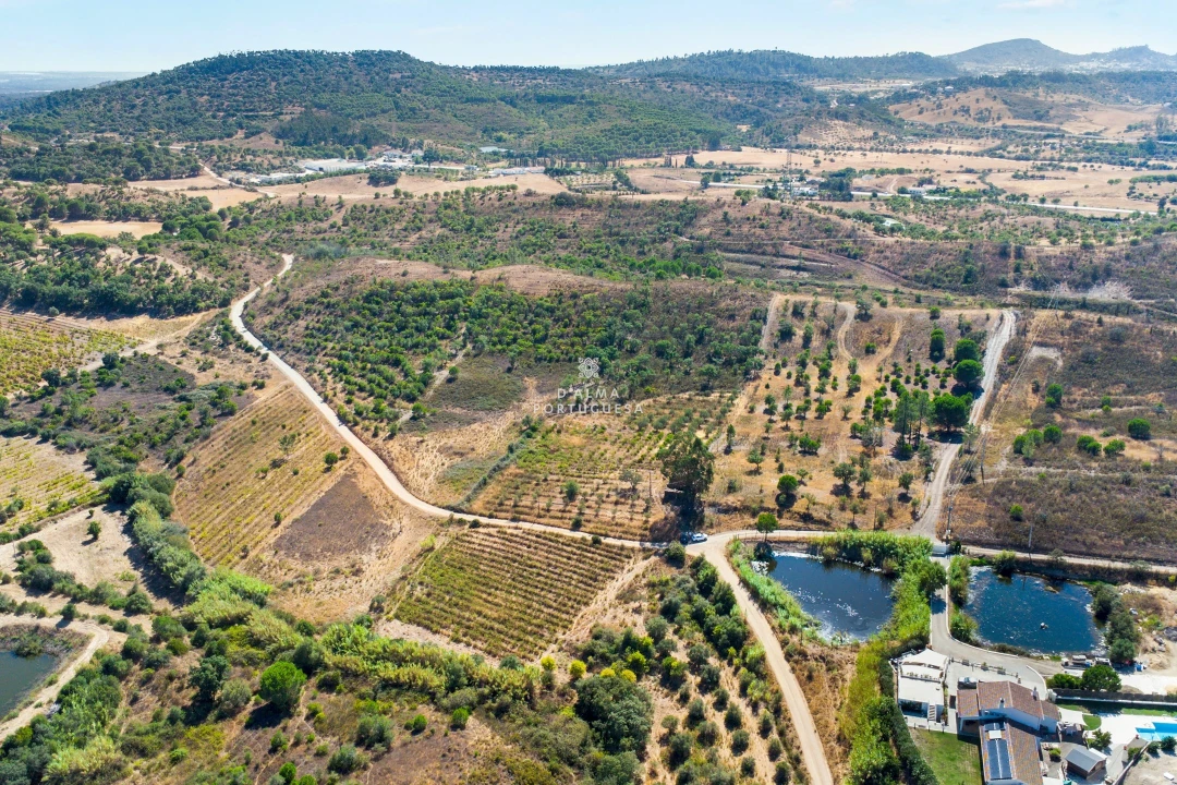 Terreno para Venda em São Bartolomeu de Messines Foto 1