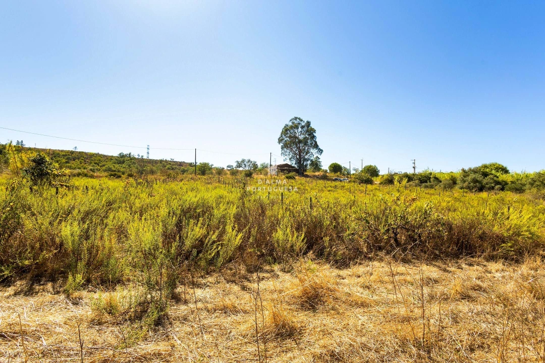 Terreno para Venda em São Bartolomeu de Messines Foto 17