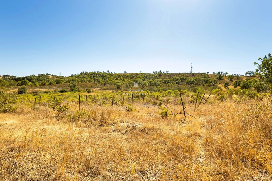 Terreno para Venda em São Bartolomeu de Messines Foto 14